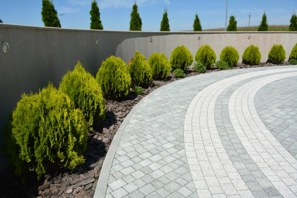 Best Residential Driveway Paver Services  in Rochester, MN